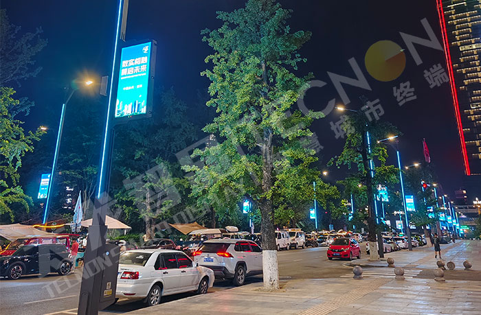 LED燈桿屏 LED燈桿屏